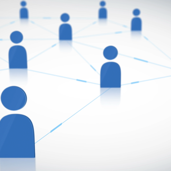course network