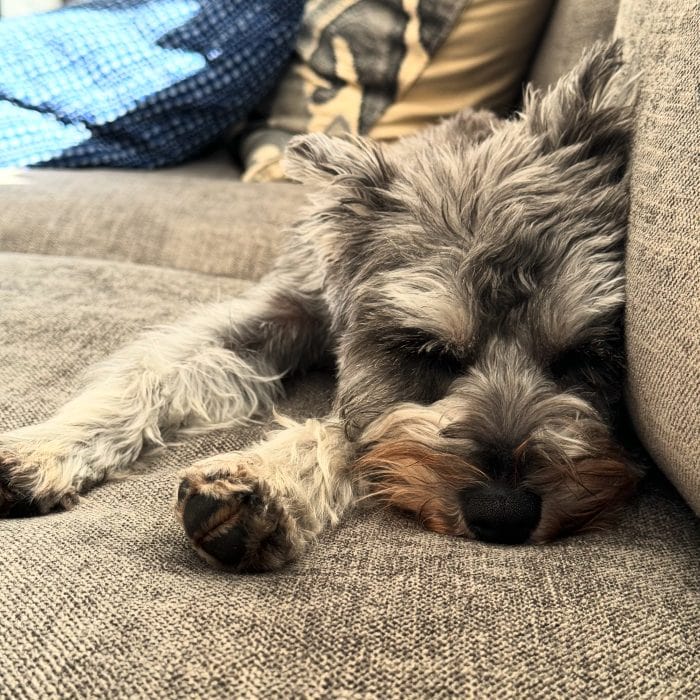 Ellis Sellas Ellis Sellas