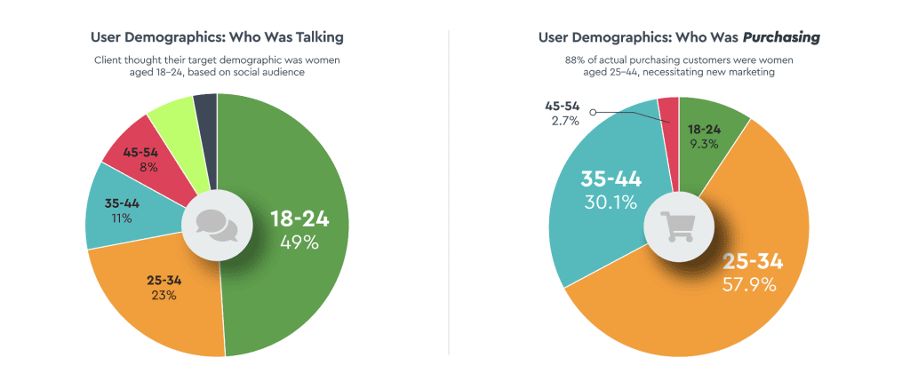 social intelligence audience audit B Squared Media